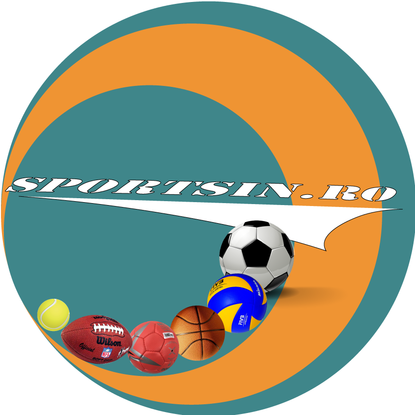 Clubul Sportiv Sportsin Arad logo