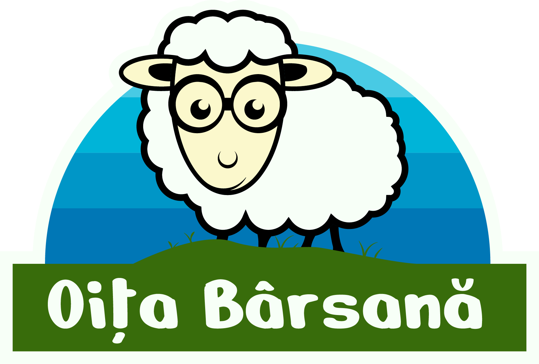 Asociatia Oita Barsana logo